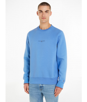 Tommy Hilfiger Sweater met Ronder Hals Blue Spell